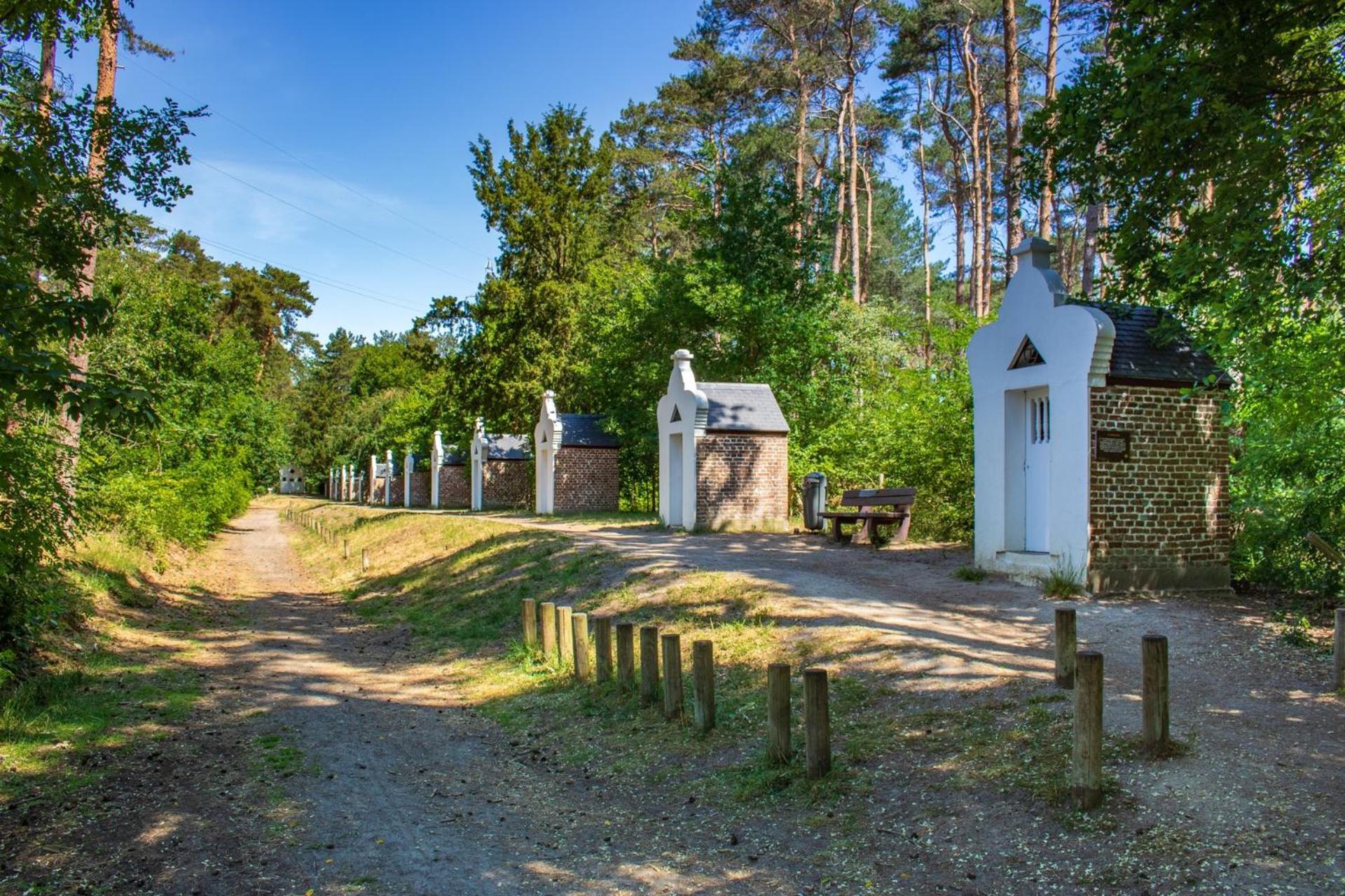 Bed and Breakfast De Wilden Ezel Mol Exteriér fotografie